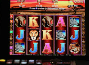 AG亚娱官方网站入口最新版